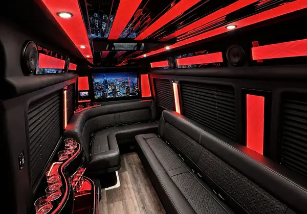 Mercedes-Benz Sprinter Limo 6