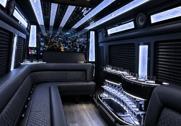 Mercedes-Benz Sprinter Limo 6
